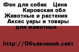 Фен для собак › Цена ­ 2 000 - Кировская обл. Животные и растения » Аксесcуары и товары для животных   